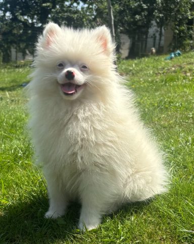 BIANCA 3MOIS