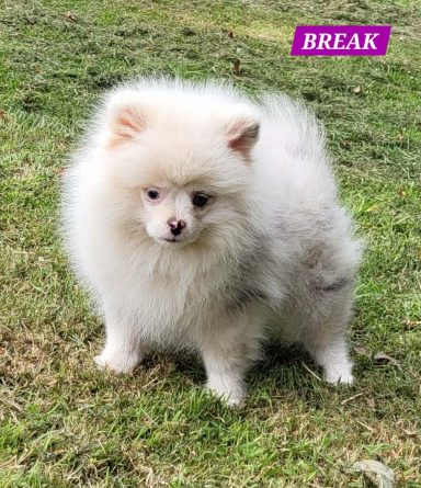 BREAK 01/07