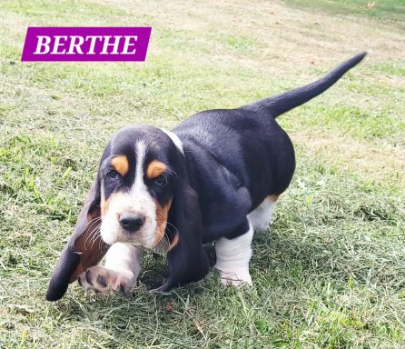 BERTHE 7SEMAINES