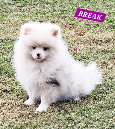 BREAK 01/07
