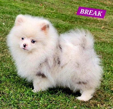 BREAK 01/07