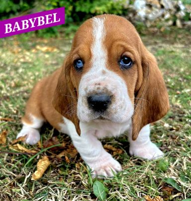 BABYBEL 1MOIS