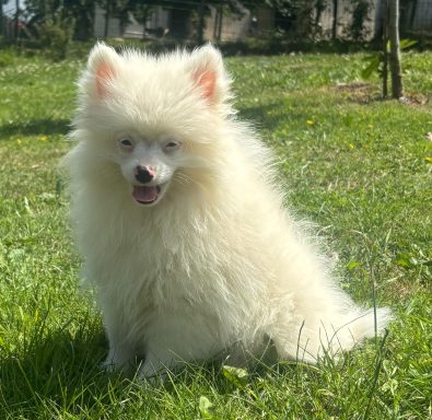BIANCA 3MOIS