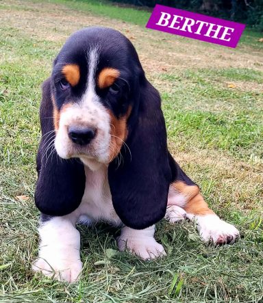 BERTHE 7SEMAINES