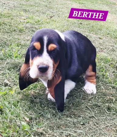 BERTHE 7SEMAINES