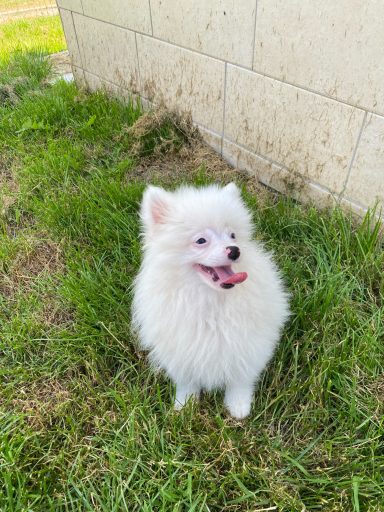 BIANCA 3MOIS