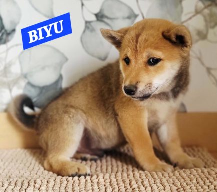 BIYU 2MOIS ET DEMI