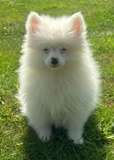 BIANCA 3MOIS
