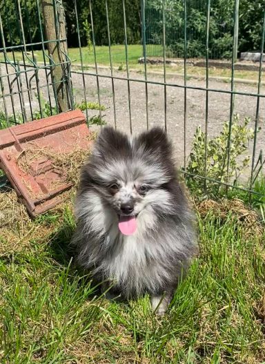 BEAUTIFUL 3MOIS