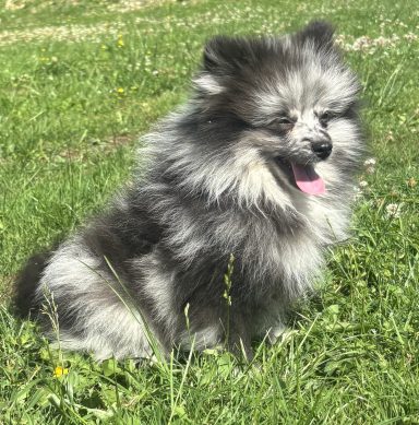 BEAUTIFUL 3MOIS