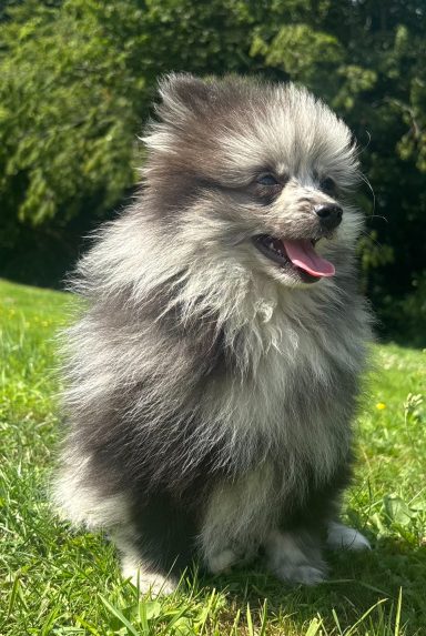 BEAUTIFUL 3MOIS