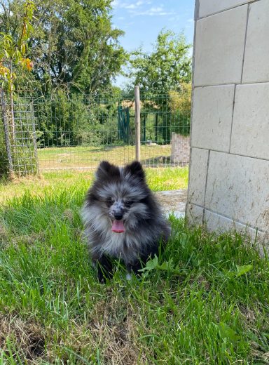 BEAUTIFUL 3MOIS