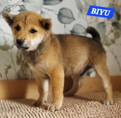 BIYU 2MOIS ET DEMI