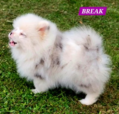 BREAK 01/07