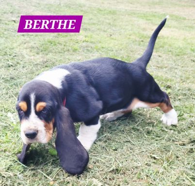 BERTHE 7SEMAINES