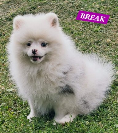 BREAK 01/07
