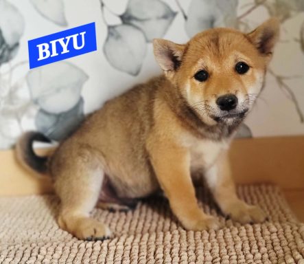 BIYU 2MOIS ET DEMI
