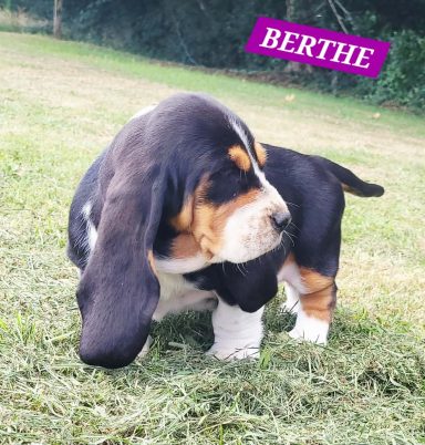 BERTHE 7SEMAINES