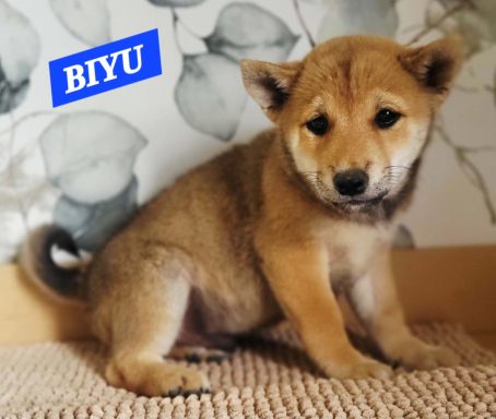 BIYU 2MOIS ET DEMI