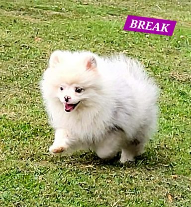 BREAK 01/07