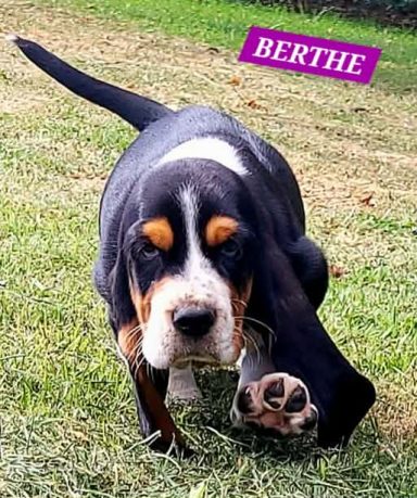 BERTHE 7SEMAINES