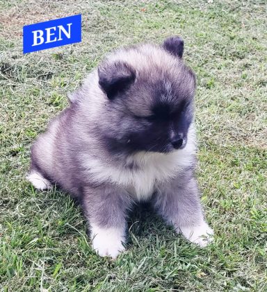 BEN 1 MOIS ET DEMI
