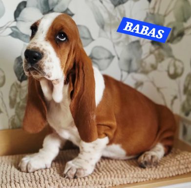 BABAS 2MOIS ET DEMI