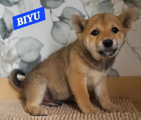 BIYU 2MOIS ET DEMI