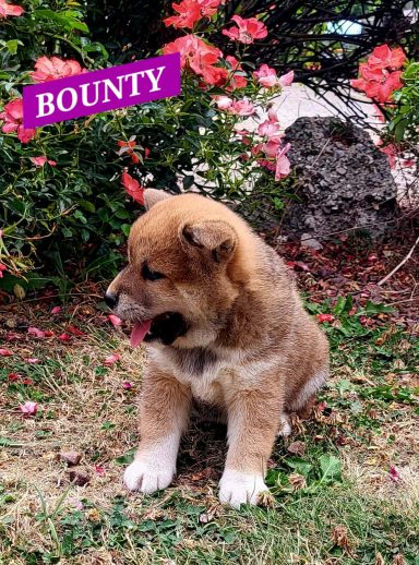 BOUNTY 1MOIS ET DEMI
