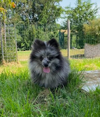 BEAUTIFUL 3MOIS