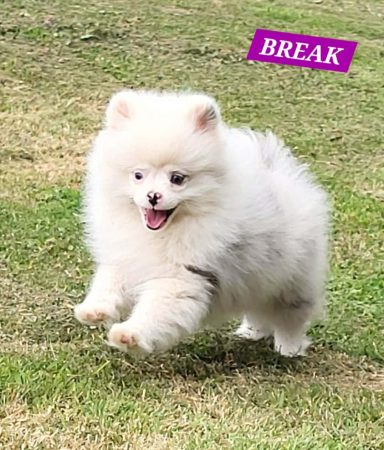 BREAK 01/07