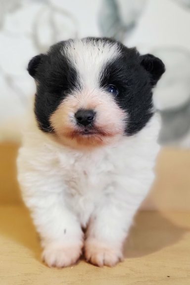 BLACK & WHITE 1MOIS ET DEMI