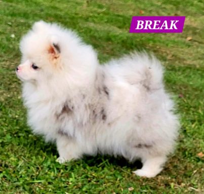 BREAK 01/07