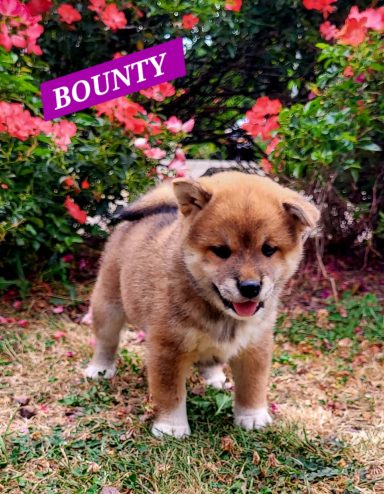 BOUNTY 1MOIS ET DEMI