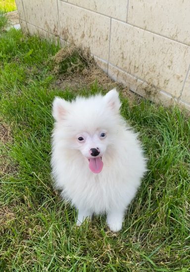 BIANCA 3MOIS