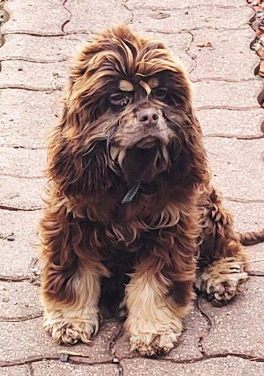 CLYDE