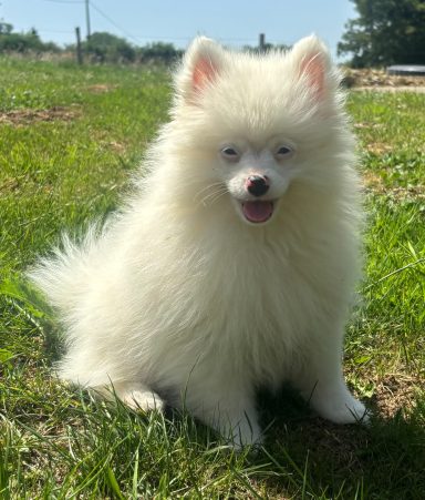 BIANCA 3MOIS